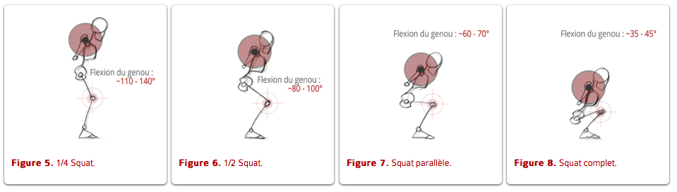 squat execution position