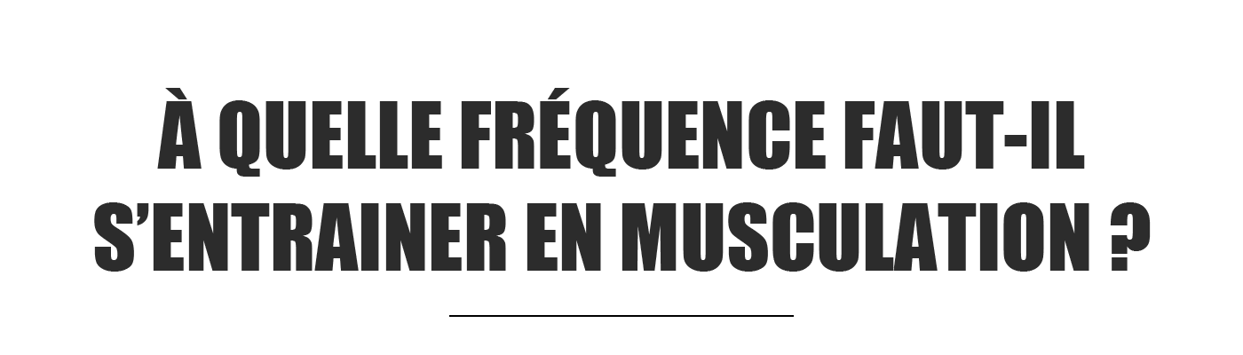 fréquence entrainement musculation